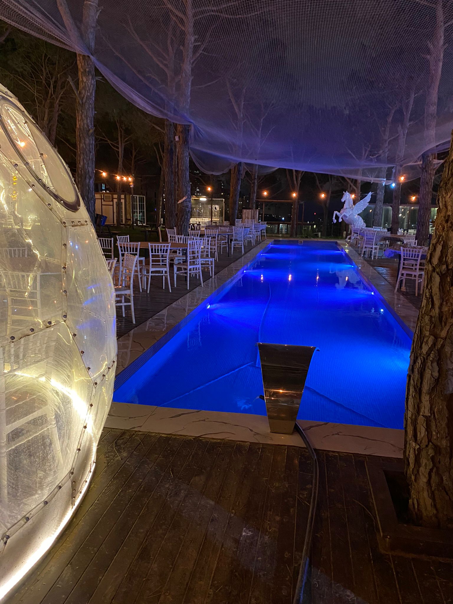 Havuz Gece Mavi Işıklar